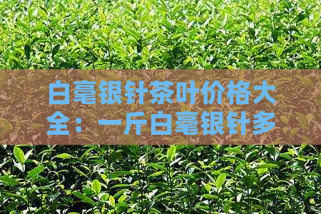 白毫银针茶叶价格大全：一斤白毫银针多少钱？如何挑选和保存？