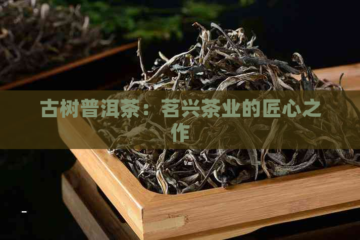 古树普洱茶：茗兴茶业的匠心之作