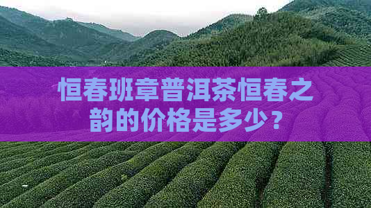 恒春班章普洱茶恒春之韵的价格是多少？