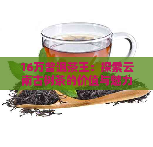 16万普洱茶王：探索云南古树茶的价值与魅力