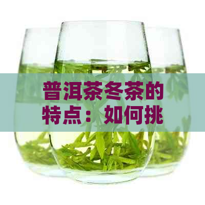 普洱茶冬茶的特点：如何挑选、泡制与品鉴，让你全面了解冬的普洱茶