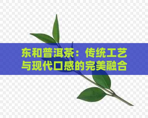 东和普洱茶：传统工艺与现代口感的完美融合