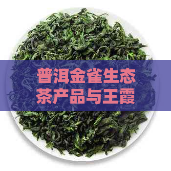 普洱金雀生态茶产品与王霞人物介绍及松泉茶