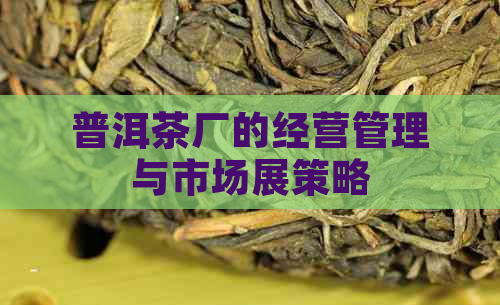 普洱茶厂的经营管理与市场展策略