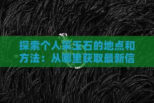 探索个人采玉石的地点和方法：从哪里获取最新信息？