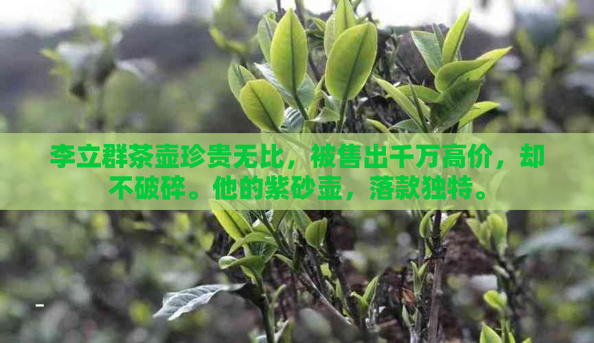 李立群茶壶珍贵无比，被售出千万高价，却不破碎。他的紫砂壶，落款独特。