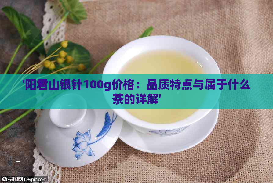 '阳君山银针100g价格：品质特点与属于什么茶的详解'