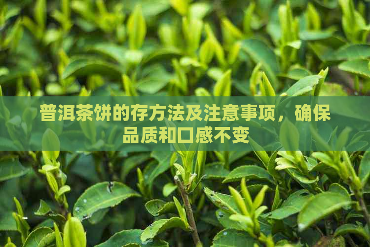 普洱茶饼的存方法及注意事项，确保品质和口感不变