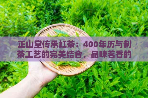 正山堂传承红茶：400年历与制茶工艺的完美结合，品味茗香的极指南