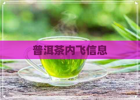 普洱茶内飞信息