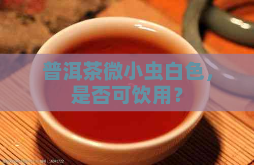 普洱茶微小虫白色，是否可饮用？