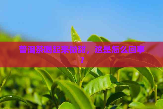 普洱茶喝起来微甜，这是怎么回事？