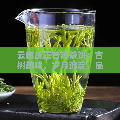 云南纯正普洱茶饼：古树韵味，岁月沉淀，品鉴珍藏