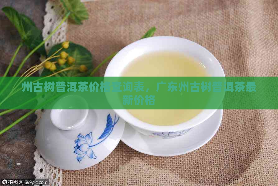 州古树普洱茶价格查询表，广东州古树普洱茶最新价格