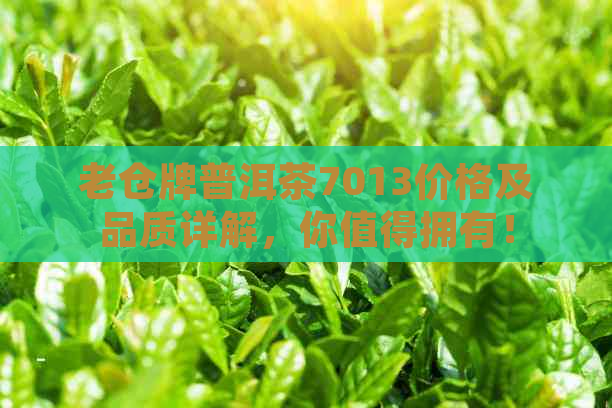 老仓牌普洱茶7013价格及品质详解，你值得拥有！