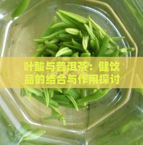 叶酸与普洱茶：健饮品的结合与作用探讨