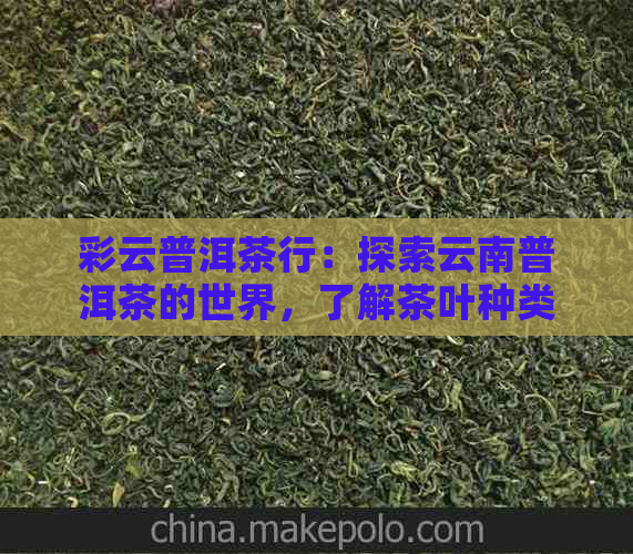 彩云普洱茶行：探索云南普洱茶的世界，了解茶叶种类、功效与饮用方法