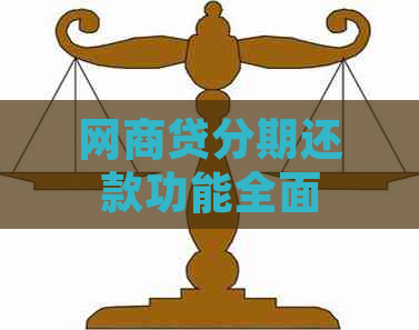 网商贷分期还款功能全面解答：为什么无法进行分期还款及替代方案推荐