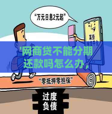 '网商贷不能分期还款吗怎么办，为什么不能分期6个月？'