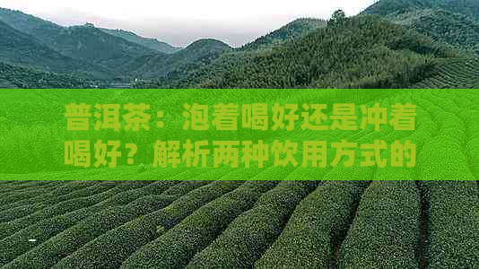 普洱茶：泡着喝好还是冲着喝好？解析两种饮用方式的优缺点及适用场景