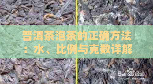 普洱茶泡茶的正确方法：水、比例与克数详解