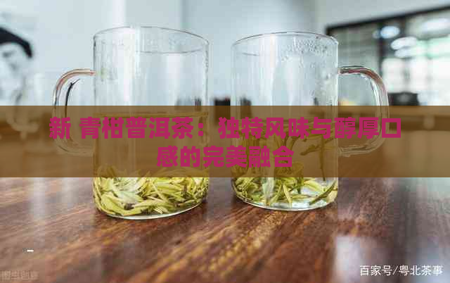 新 青柑普洱茶：独特风味与醇厚口感的完美融合