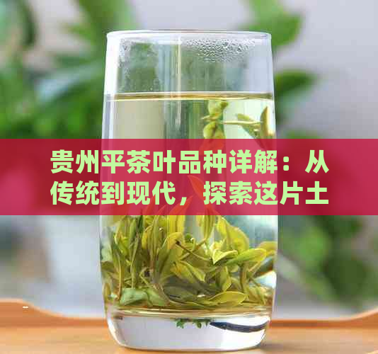 贵州平茶叶品种详解：从传统到现代，探索这片土地上的茶文化