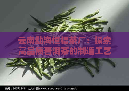 云南勐海恒福茶厂：探索高品质普洱茶的制造工艺与背后的故事