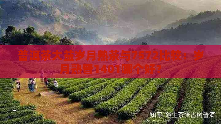 普洱茶大益岁月熟茶与7572比较：岁月熟普1401哪个好？