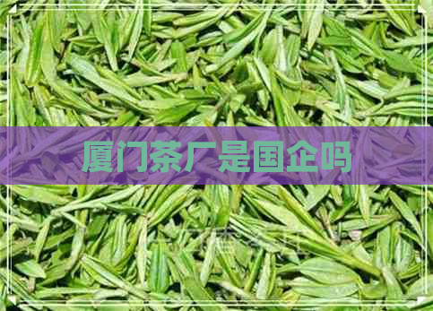 厦门茶厂是国企吗