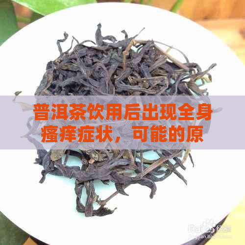 普洱茶饮用后出现全身瘙痒症状，可能的原因及解决方法有哪些？