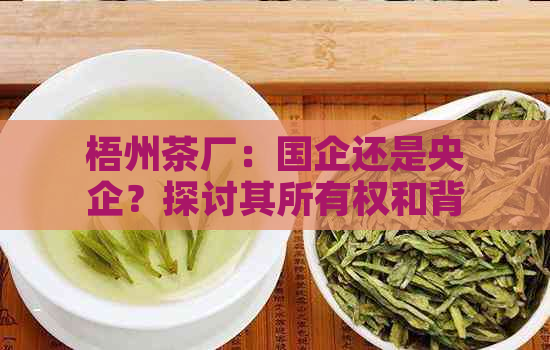 梧州茶厂：国企还是央企？探讨其所有权和背景信息