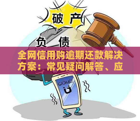 全网信用购逾期还款解决方案：常见疑问解答、应对策略及建议