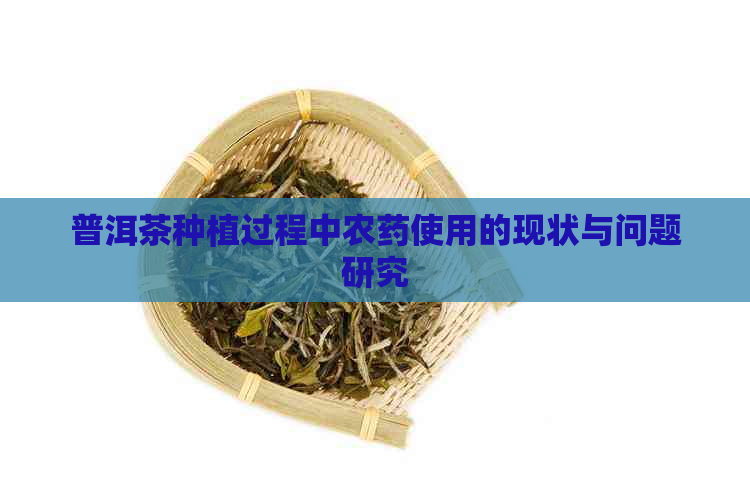 普洱茶种植过程中农药使用的现状与问题研究