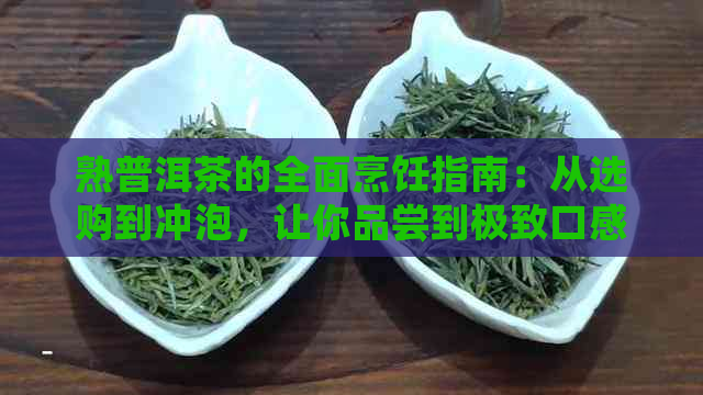 熟普洱茶的全面烹饪指南：从选购到冲泡，让你品尝到极致口感