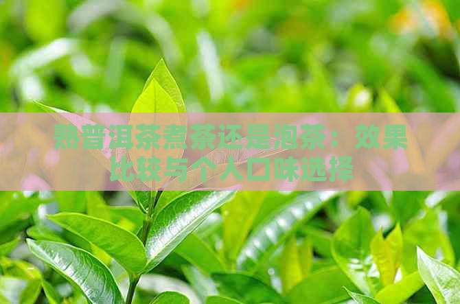 熟普洱茶煮茶还是泡茶：效果比较与个人口味选择