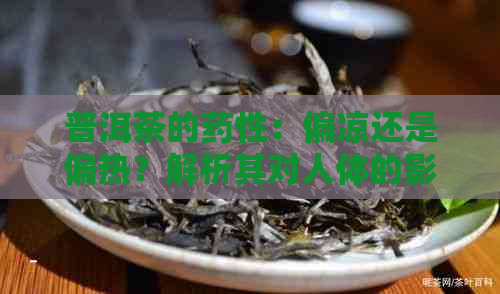 普洱茶的药性：偏凉还是偏热？解析其对人体的影响及适用人群