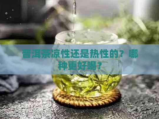 普洱茶凉性还是热性的？哪种更好喝？