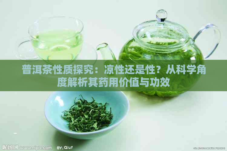 普洱茶性质探究：凉性还是性？从科学角度解析其药用价值与功效