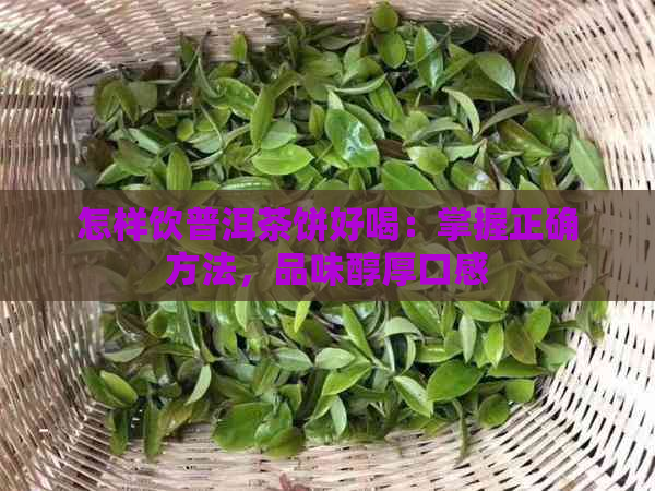 怎样饮普洱茶饼好喝：掌握正确方法，品味醇厚口感