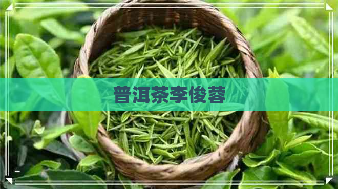 普洱茶李俊蓉