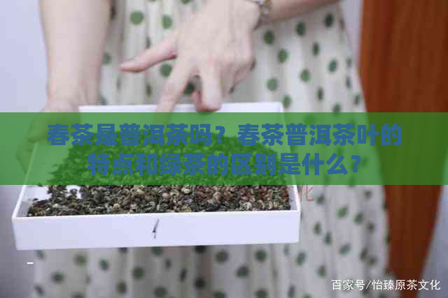 春茶是普洱茶吗？春茶普洱茶叶的特点和绿茶的区别是什么？