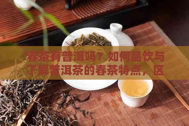 '春茶有普洱吗？如何品饮与了解普洱茶的春茶特点，区分生普与熟普'