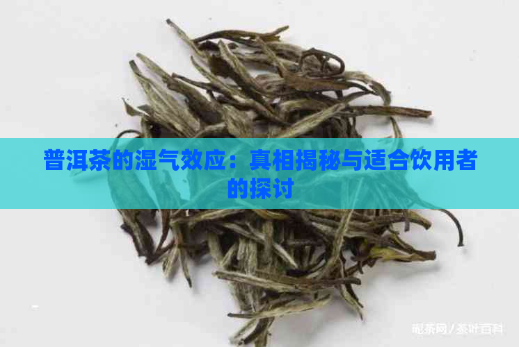 普洱茶的湿气效应：真相揭秘与适合饮用者的探讨