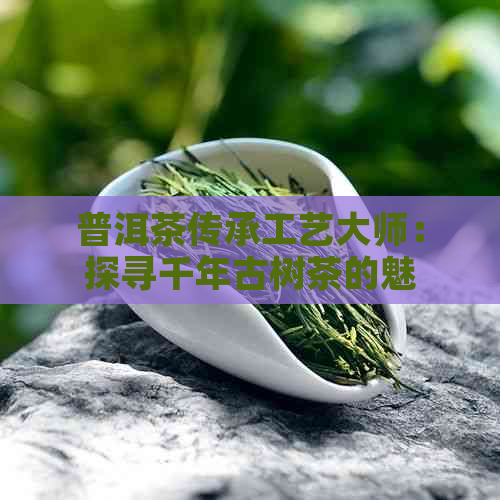 普洱茶传承工艺大师：探寻千年古树茶的魅力与制作奥秘