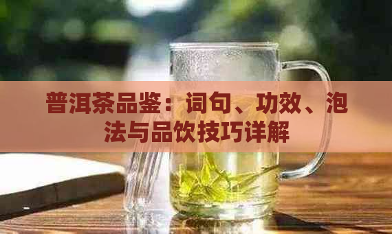 普洱茶品鉴：词句、功效、泡法与品饮技巧详解