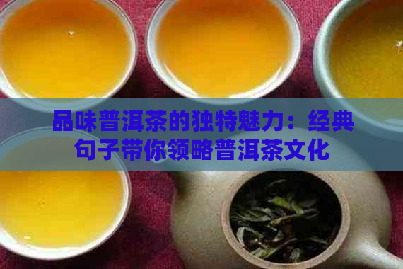 品味普洱茶的独特魅力：经典句子带你领略普洱茶文化