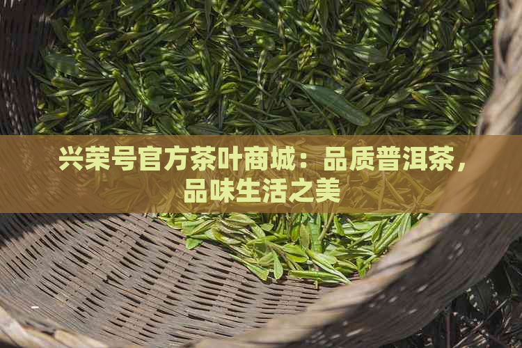 兴荣号官方茶叶商城：品质普洱茶，品味生活之美