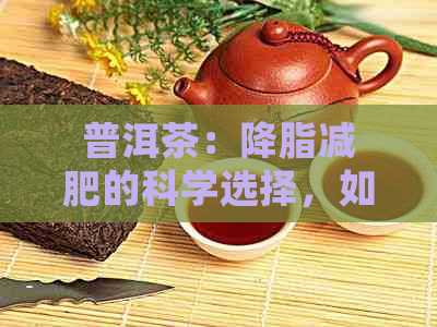 普洱茶：降脂减肥的科学选择，如何正确饮用以达到效果？