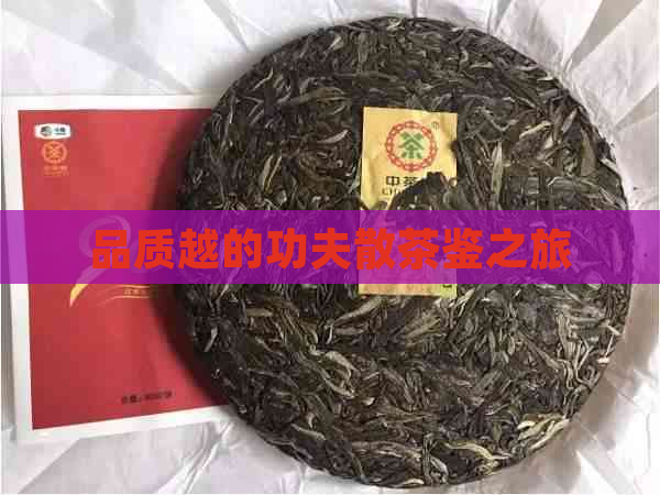 品质越的功夫散茶鉴之旅